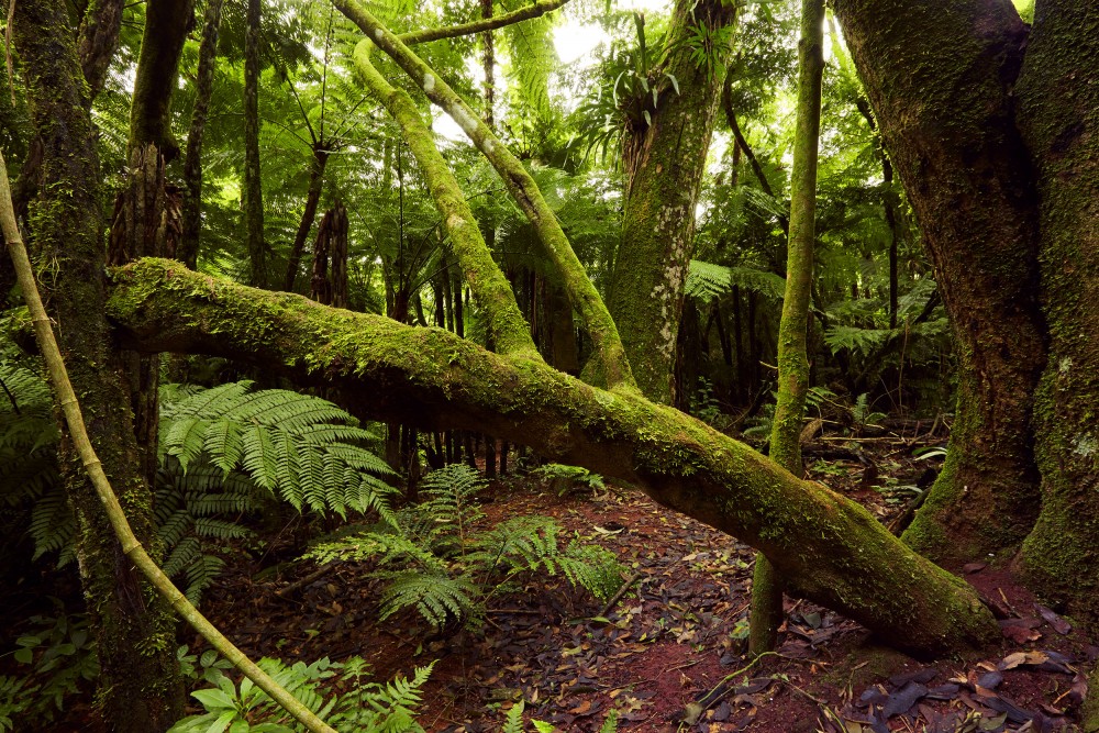 Personal Aldea Yeyi image